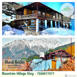 Mountain Village Stay https://www.MountainVillageStay.com